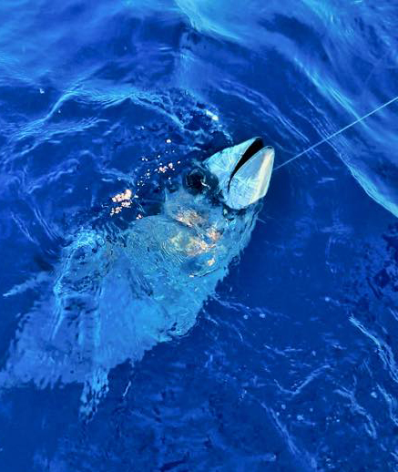 Photo de pêche à la ligne