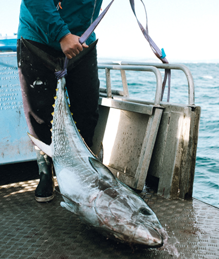 Photo de pêche à la ligne