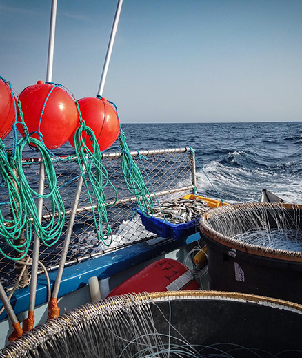 Photo de pêche à la ligne