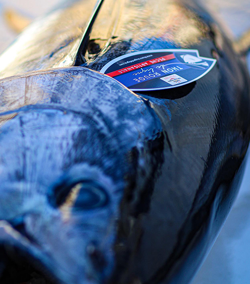 Photo de pêche à la ligne