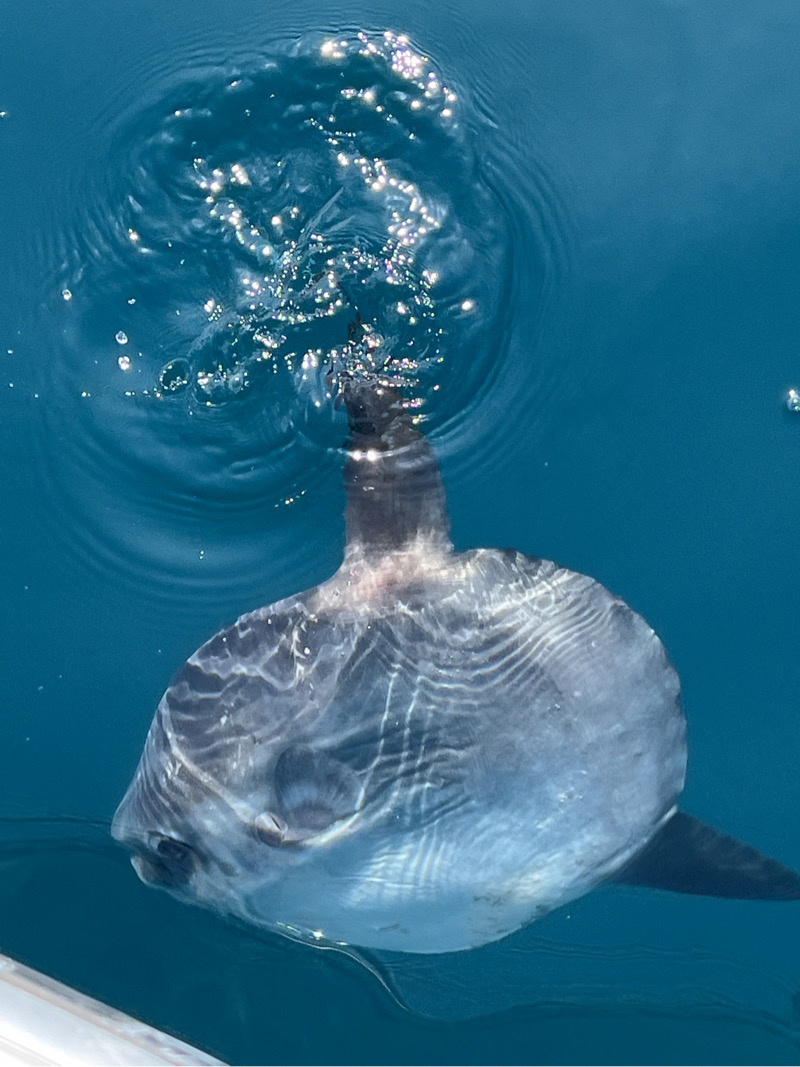 Photo de pêche à la ligne